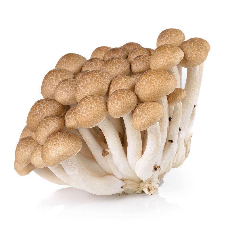 Champignons Shimeji brun - 150g