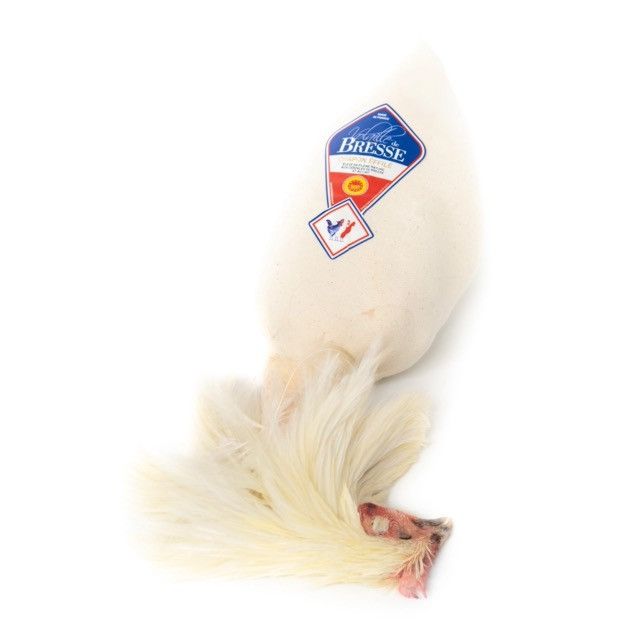 ✨ Chapon de Bresse roulé AOP ±4kg