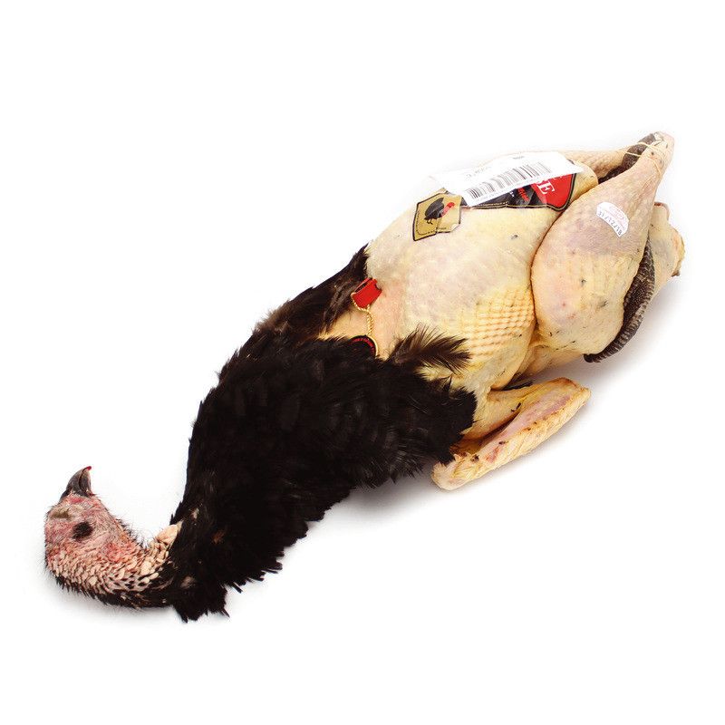 ✨ Dinde de Bresse AOP ±4kg