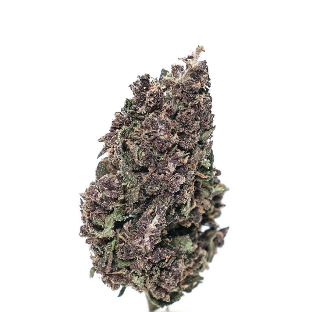 La Rouge (Purple) - 15g