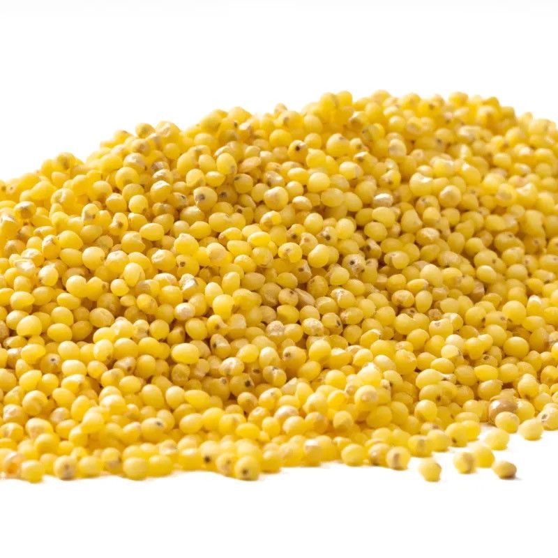 Graines de millet français décortiquées BIO - 500g