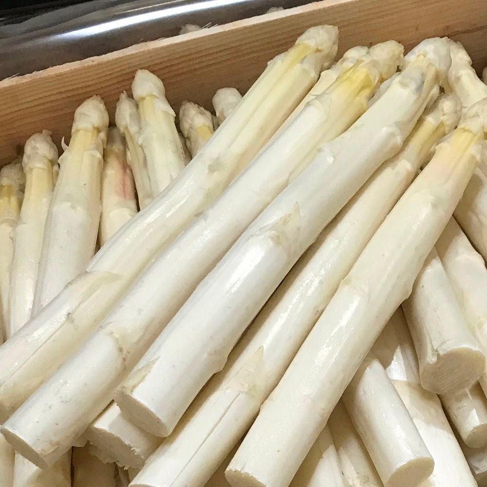 Asperges blanches des Landes BIO calibre 22/32 - 5kg