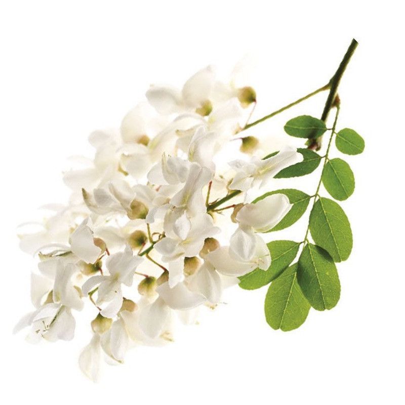 Miel de fleurs d’Acacia - 1,5kg