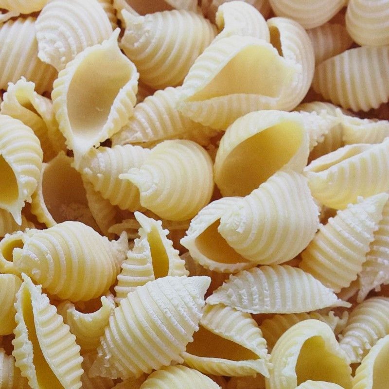 Conchiglie | Pâtes fraîches artisanales BIO - 1kg