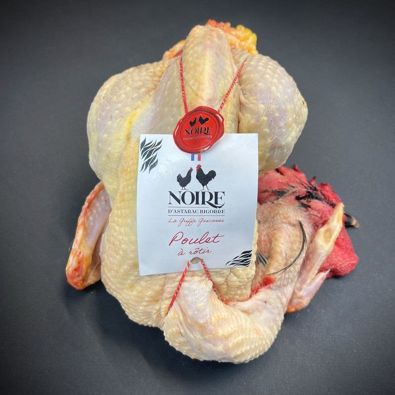 Poule Gasconne Noire d'Astarac Bigorre ±1,8kg