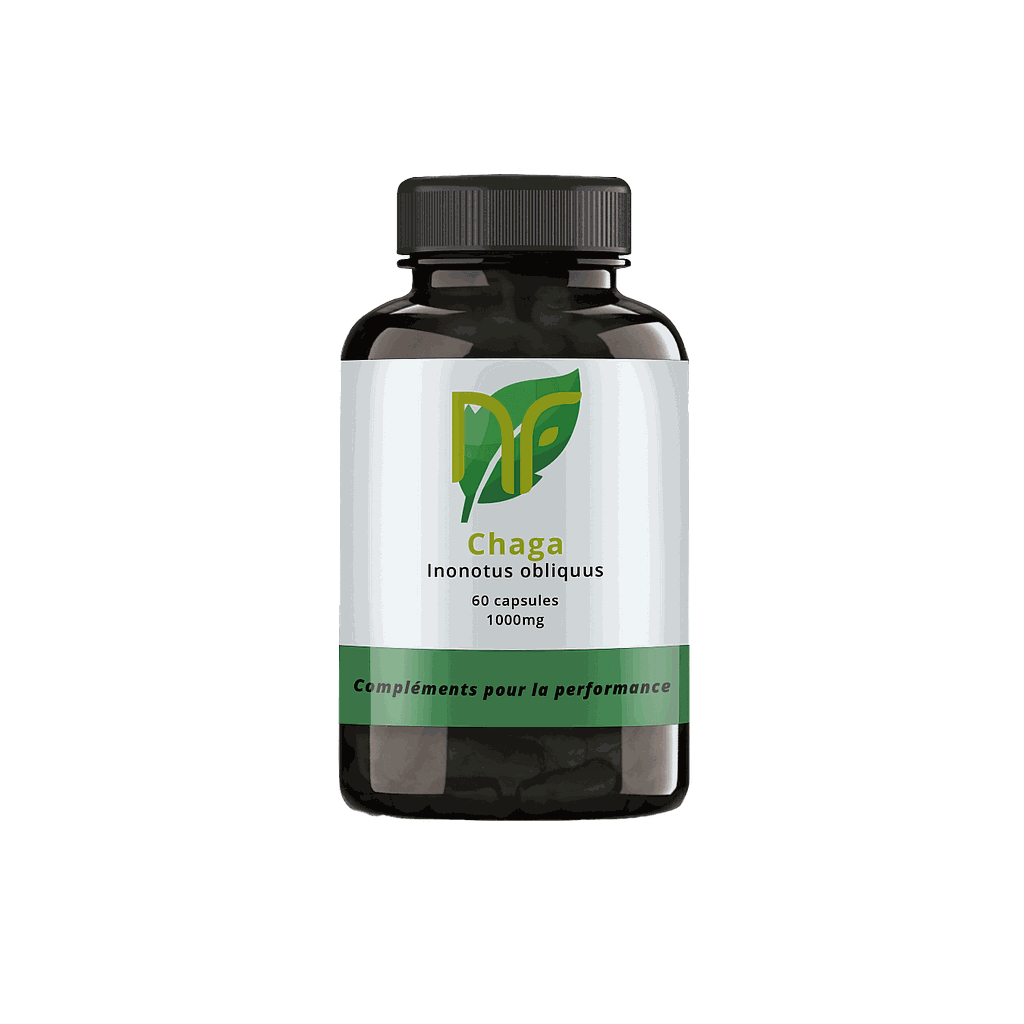 Chaga